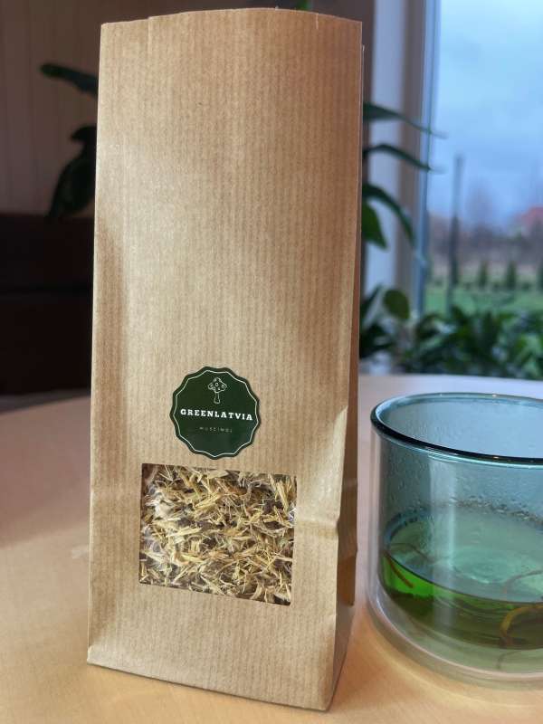 Astragalus - Nature's Shield for Your Health