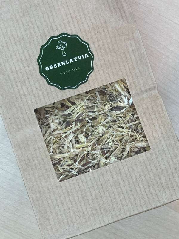Astragalus - Nature's Shield for Your Health - Image 2