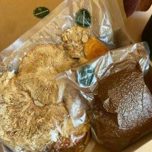 Sarkanais mušmiris (cepurītēs), Sarkanais mušmiris (pulveris), Čaga (pulveris), Griķu tēja